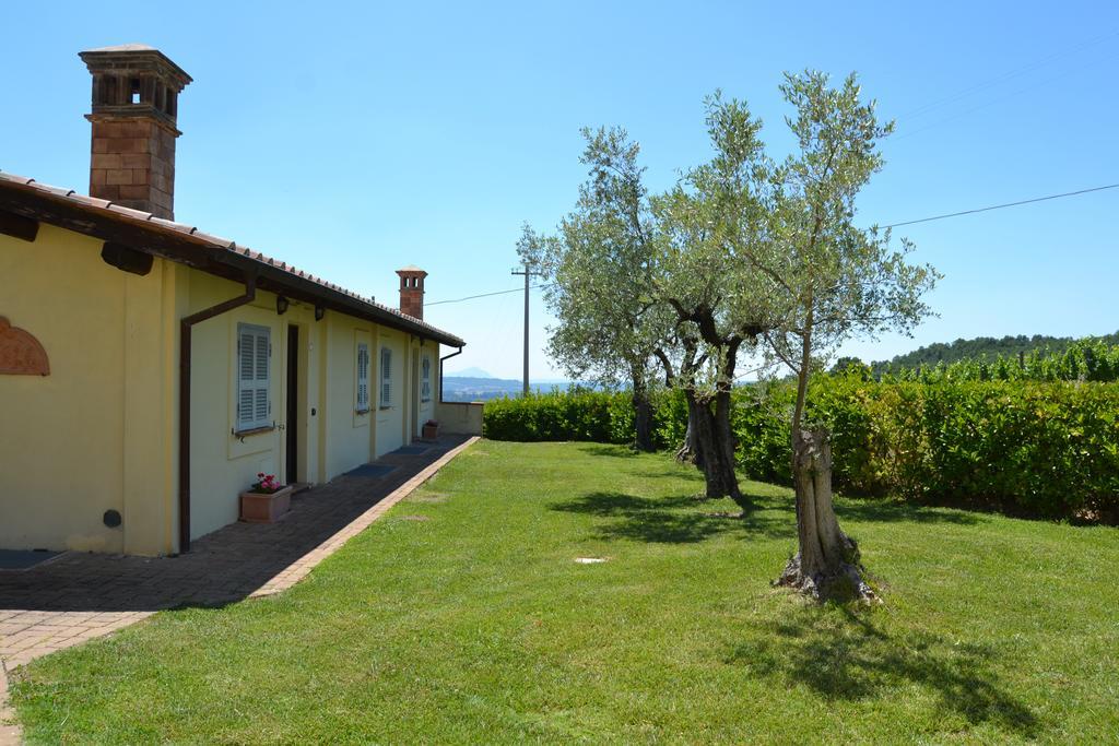Tenuta Pizzogallo Amelia Exterior foto